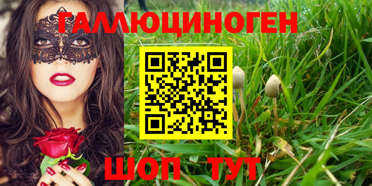 Псилоцибиновые грибы MAGIC MUSHROOMS  Вход с VPN  Артёмовский 